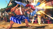 Sf4-spinningbirdkick