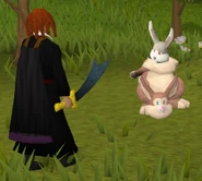 Bunny suit