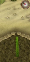 Cactus2
