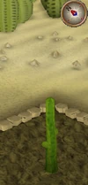 Cactus3