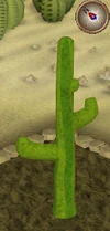 Cactus6