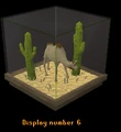 Camel display.png