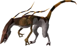 Cannibal jadinko