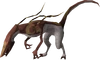Carrion jadinko