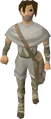 Courier.png