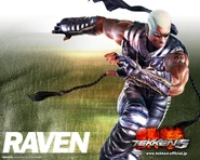 750px-Raven 369
