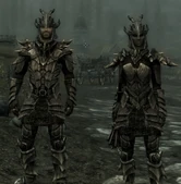 Dragonarmormalefemale