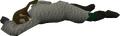 Dead brewer.png