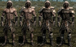 FurArmors