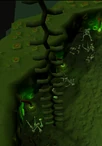 Dripping vine