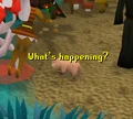 Player as piglet