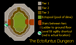 Ectopool diagram