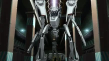 Steiner