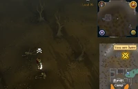 Enchantedkey meeting 8