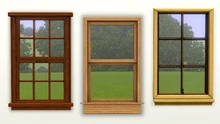 Ts3-window