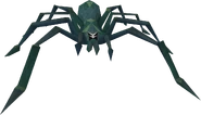 Giant crypt spider