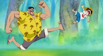 Entrenamiento de Luffy cuando era pequeño