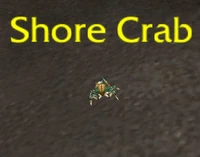 ShoreCrab
