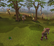 Gnome scout