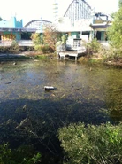Small lake feature