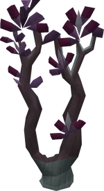 Grave creeper tree