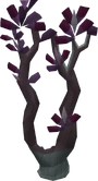 Grave creeper tree
