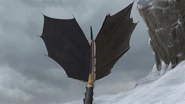 Toothless' open fin