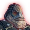Skadge icon