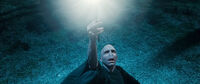 Elderwandvoldemort