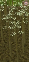 Jute4