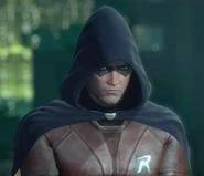 Robin-character