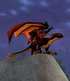 Highland Black Drake