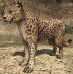 Khan el jaguar
