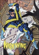Nightwing profile whos90s