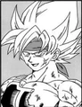 Bardock Saiyan