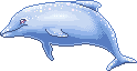 Caeralis Adult.gif
