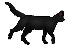 20120130235701!Hollyleaf.loner.png