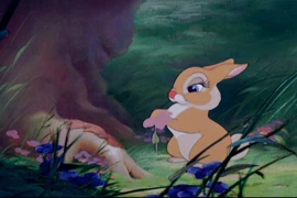 Bambi 329