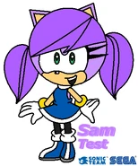 Sam Test Happy