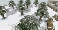 Land of Holly