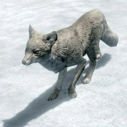 SnowFox