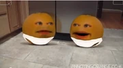 Baby Oranges