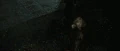 Protegomaximamw.gif