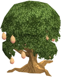 Mango tree fairy tale