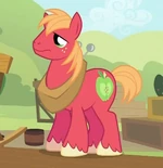 Big Macintosh ID.png