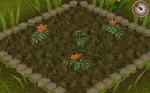 Marigold3