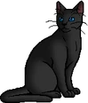 Rainwhisker.warrior
