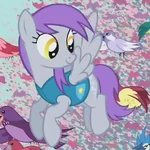Flutter Doo.png