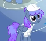 Peppermint Crunch.png