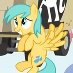 Raindrop Thumb 2.JPG